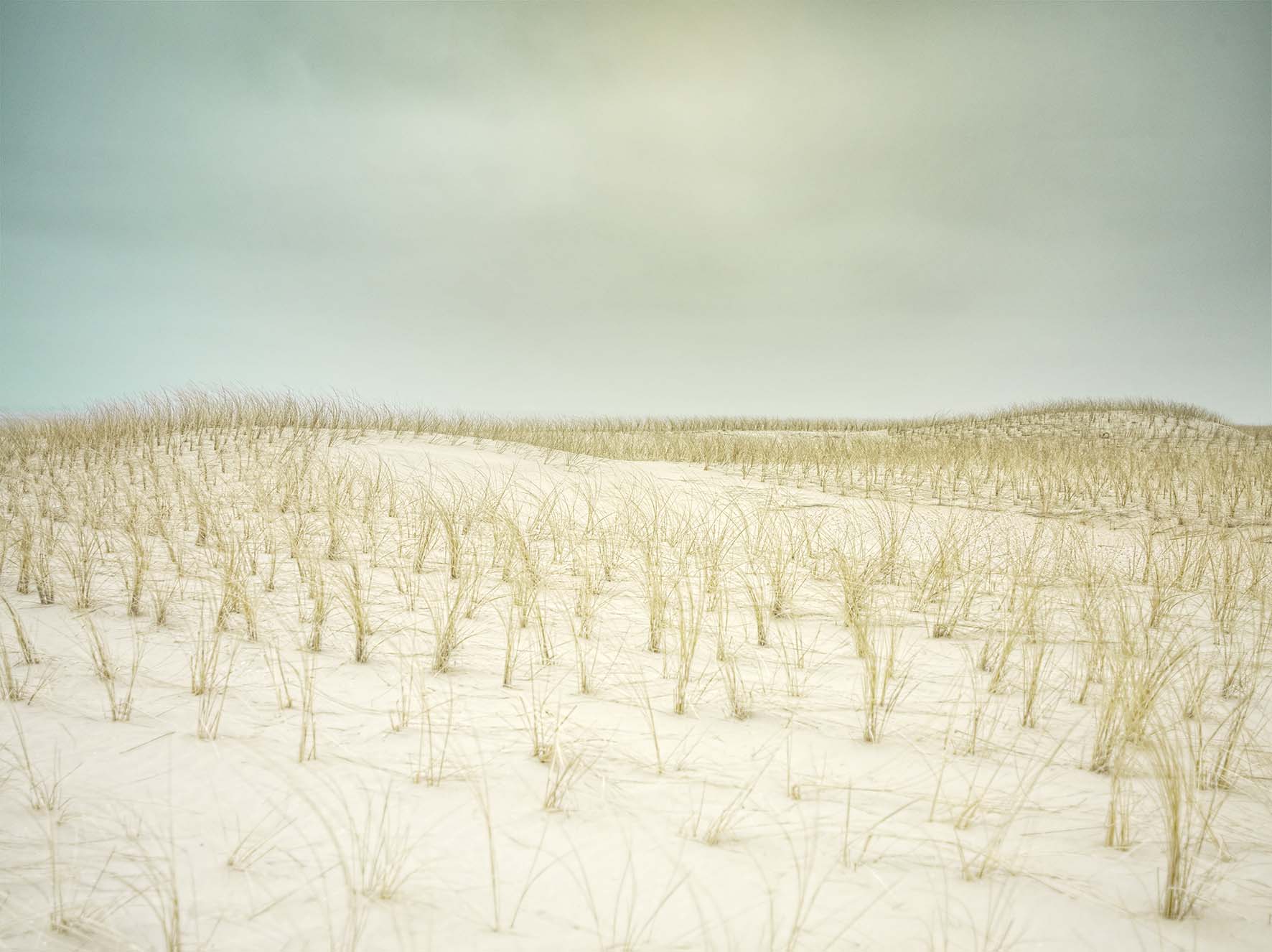 Every single inch planned landscape at the Dutch shore, close to the city of Schoorl