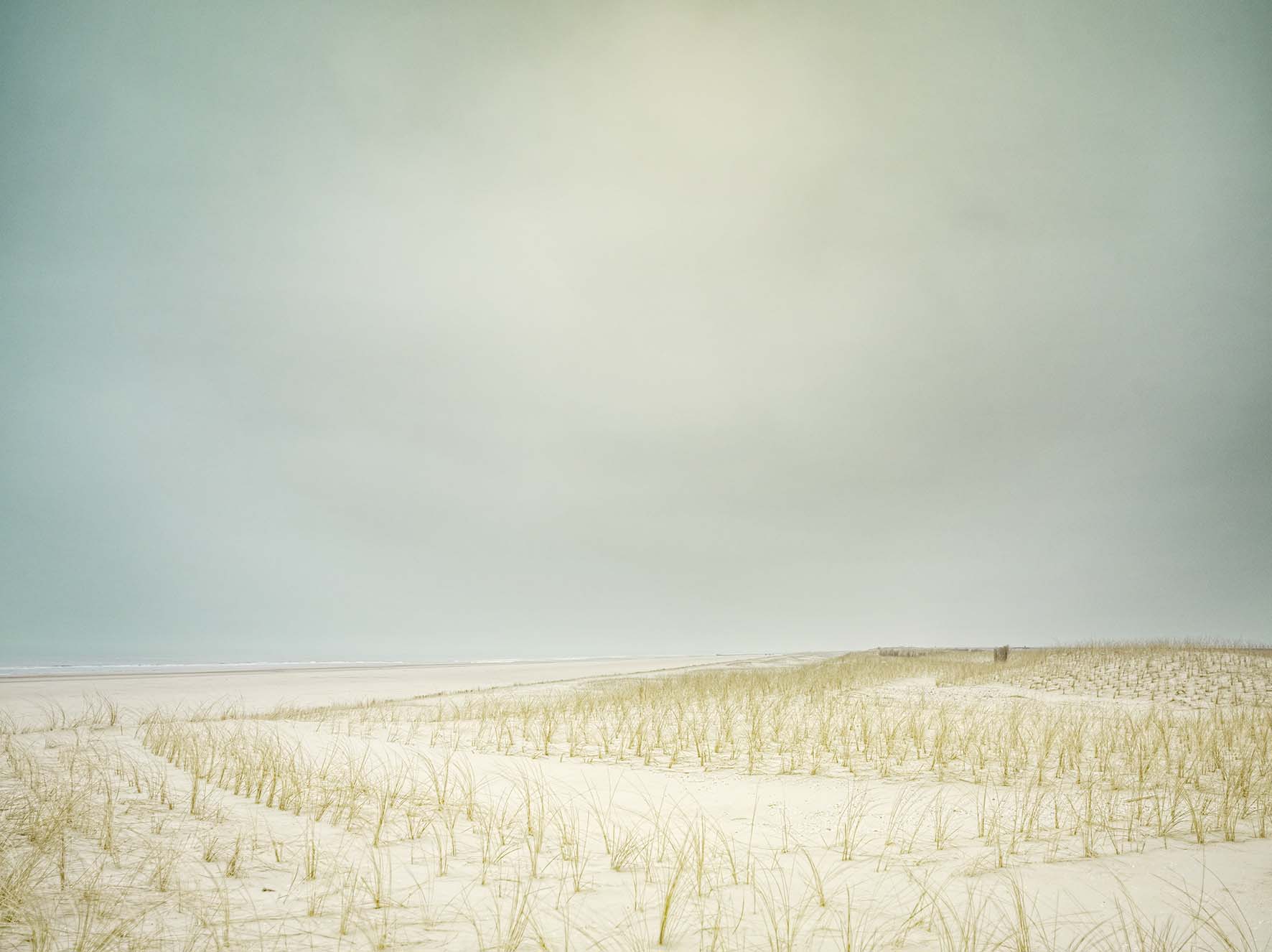 Every single inch planned landscape at the Dutch shore, close to the city of Schoorl