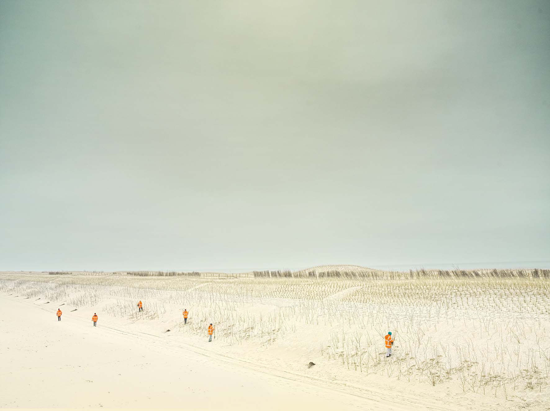 Every single inch planned landscape at the Dutch shore, close to the city of Schoorl